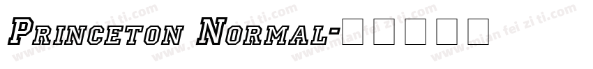 Princeton Normal字体转换